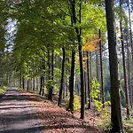 Der Schoene Asten - Готель Вінтерберг