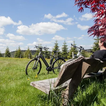 Der Schoene Asten - Hotel