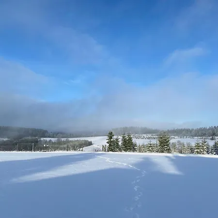 Der Schoene Asten - Hotel 3*