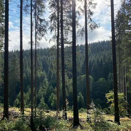 Der Schoene Asten - 3* Winterberg