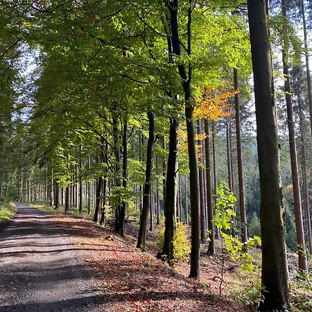 Der Schoene Asten - Szálloda Winterberg
