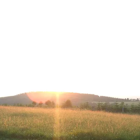 Der Schoene Asten - Hotel 3*