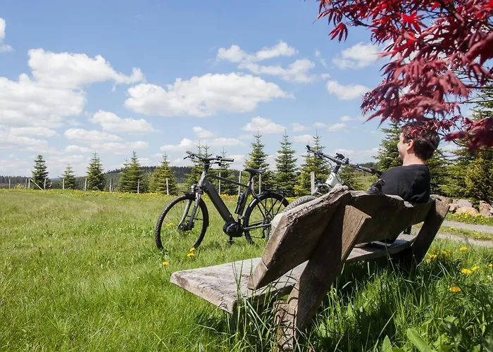 Der Schoene Asten - 酒店