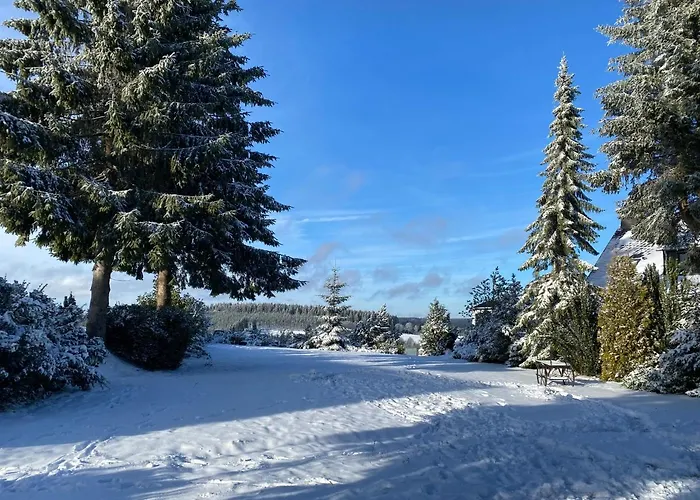 Der Schoene Asten - 3* ヴィンターベルク