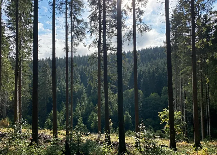 Der Schoene Asten - 3* ヴィンターベルク