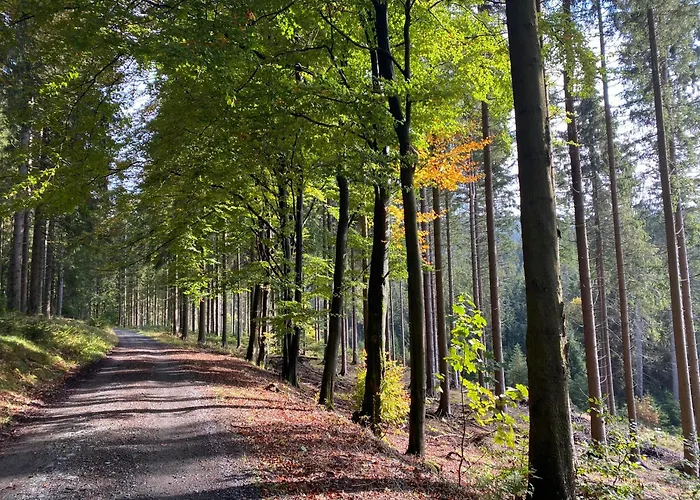 Der Schoene Asten - ホテル ヴィンターベルク