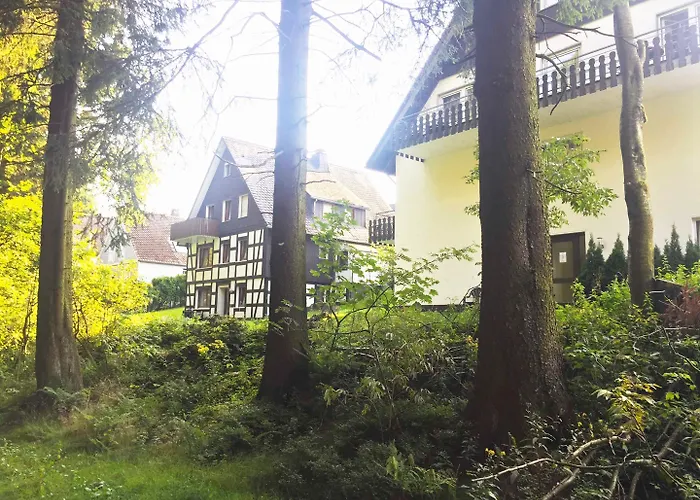 Hotel Der Schoene Asten - Winterberg