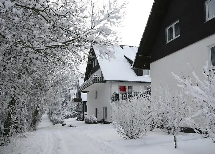 Der Schoene Asten - Hotel 3*