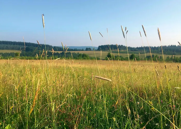 Der Schoene Asten - 酒店 温特贝格