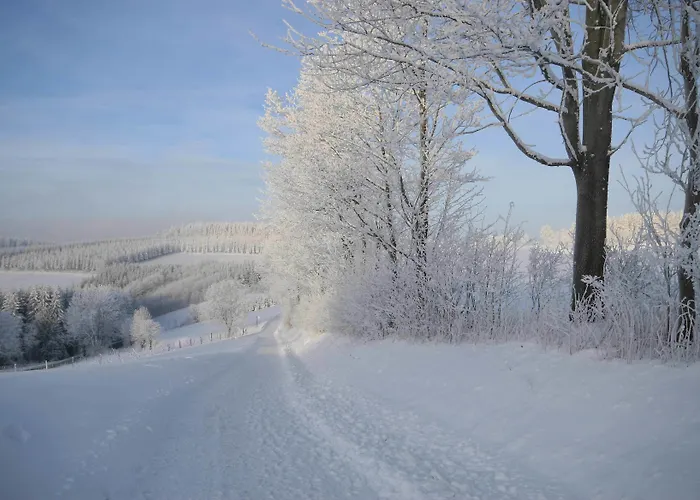酒店 Der Schoene Asten - 温特贝格