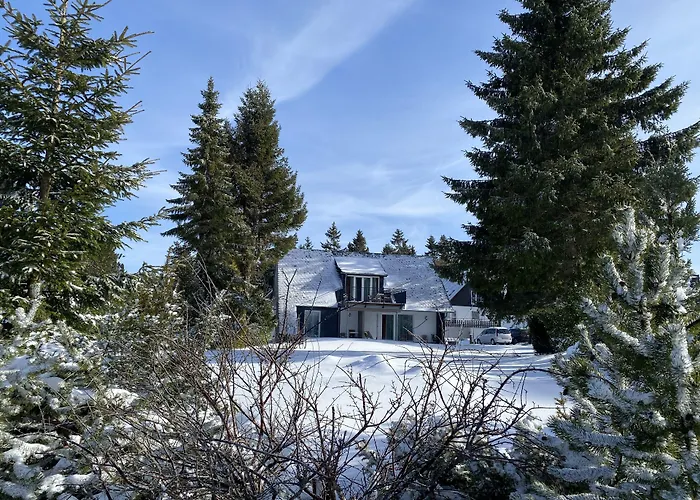 酒店 Der Schoene Asten - 3*